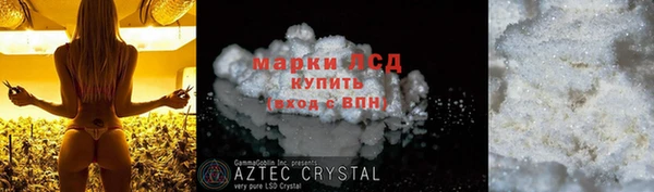 индика Алексеевка