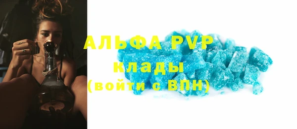 индика Алексеевка